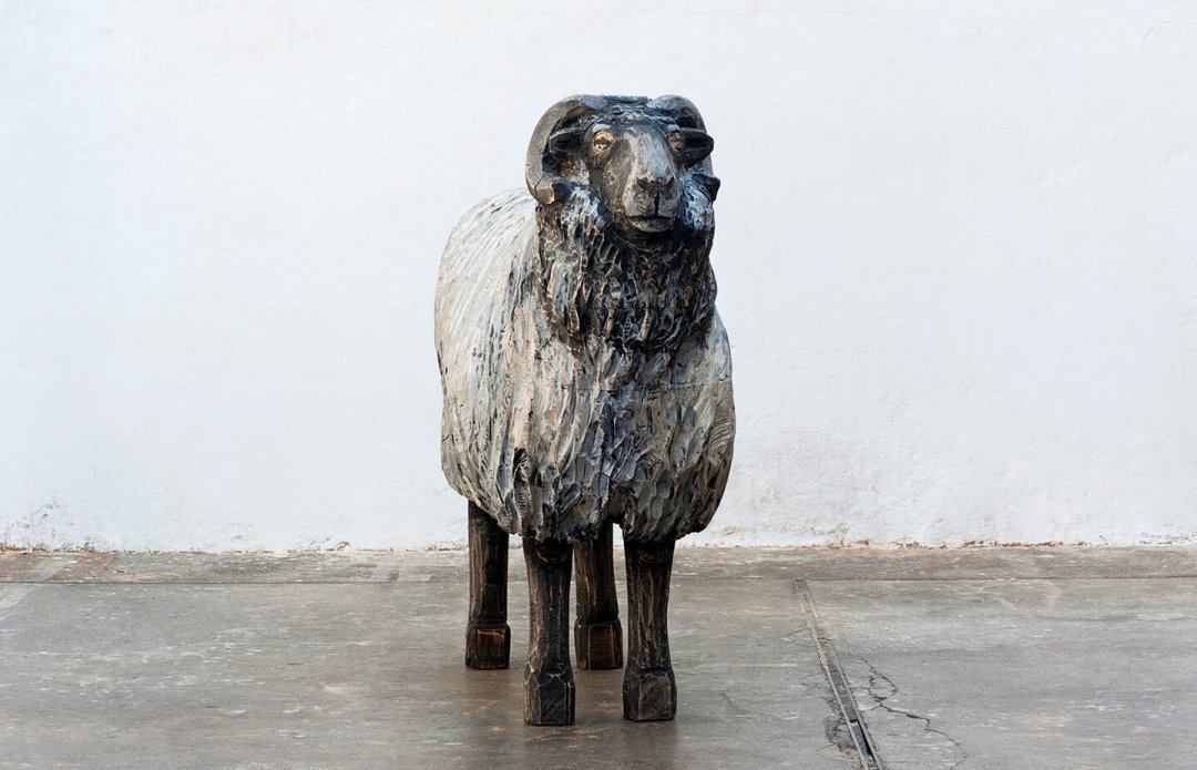 Heidschnucke (frontal)